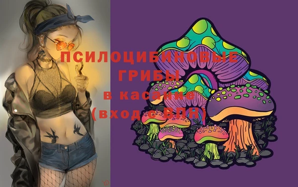 каннабис Абаза