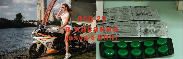 стафф Алексин