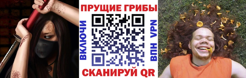 Галлюциногенные грибы MAGIC MUSHROOMS  Чекалин 
